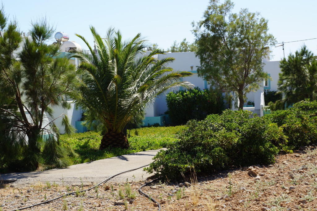 Notos Villas Frangokásztelo Szoba fotó